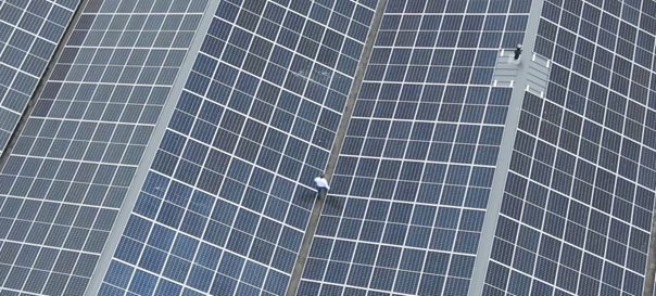 Solarpanels On The Factory In Deventer